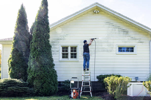 Best Gutter Cleaning and Brightening in Temple City, CA